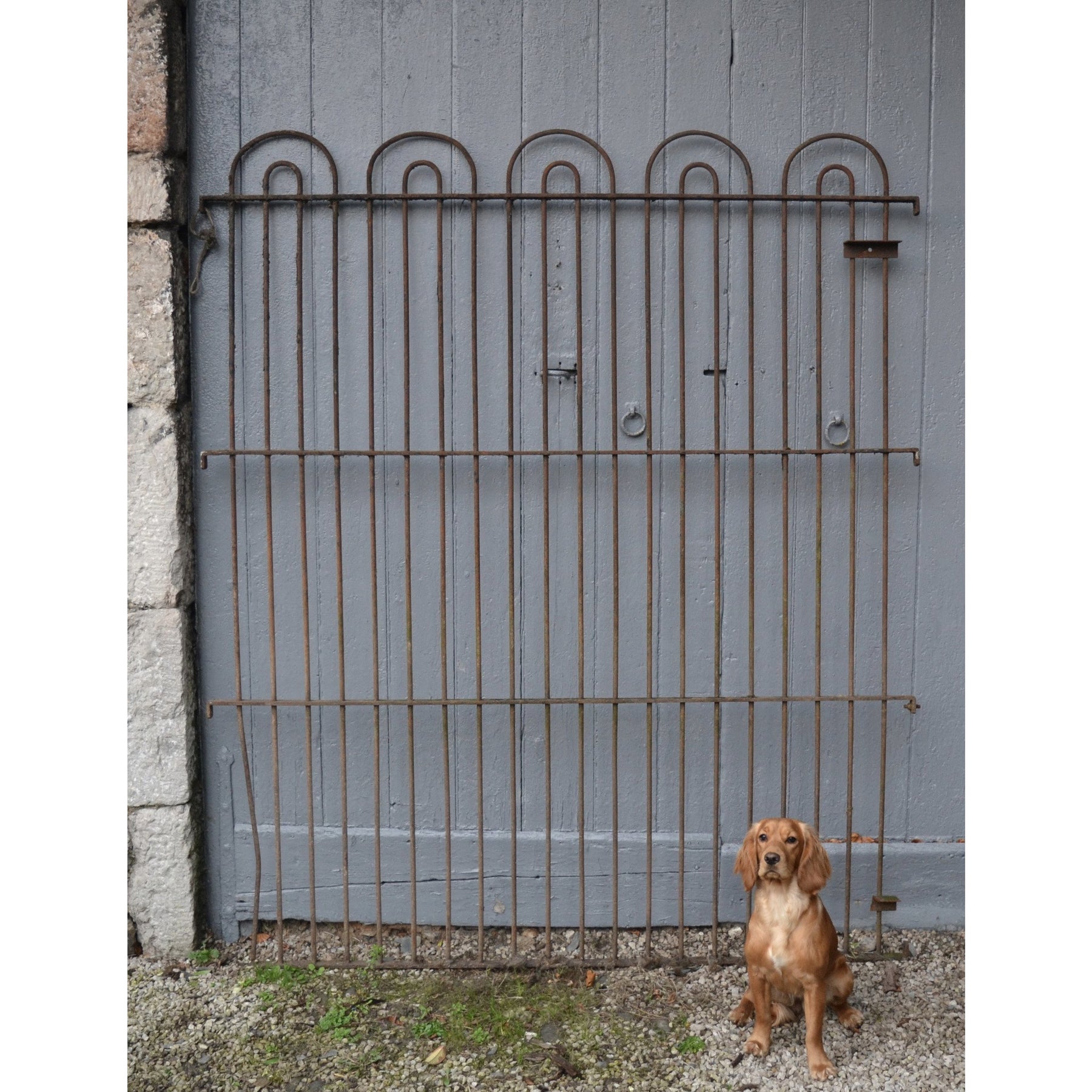 Iron sales gate kennels